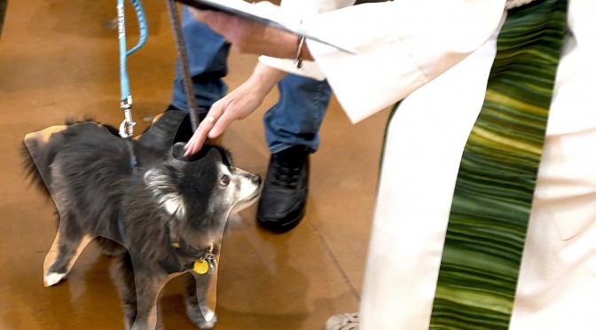 Serving Others in Uncertain Times [OR Blessing Animals in Honor of St. Francis]