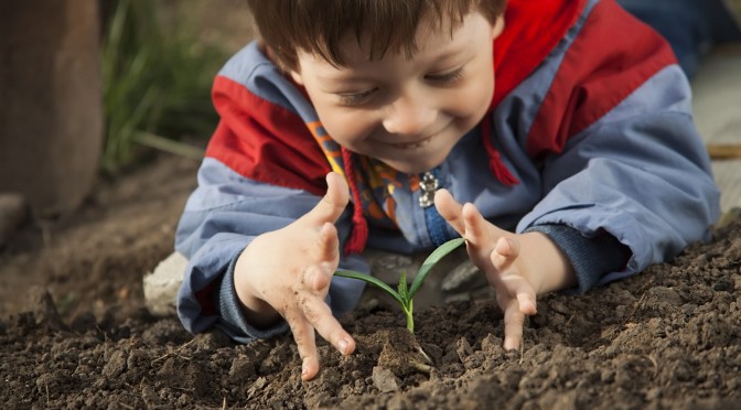 Sowing Hope and Not Losing Heart [OR Persistence Towards Justice]